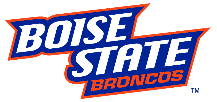 Boise State Broncos 2002-2012 Wordmark Logo v7 DIY iron on transfer (heat transfer)